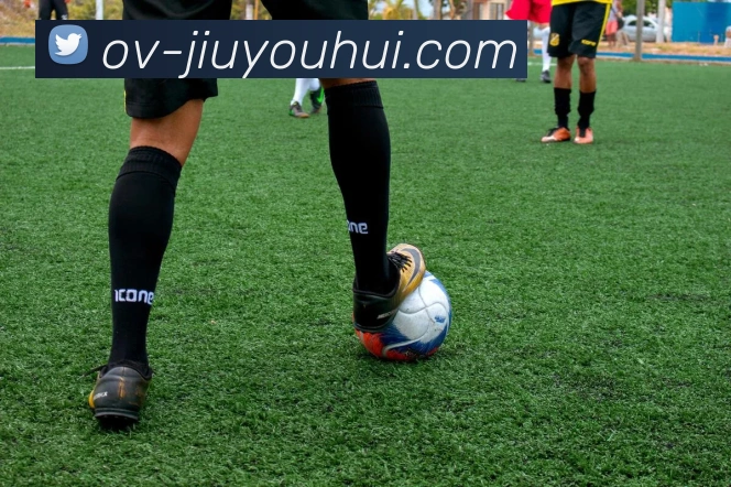 九游会J9官网发展历程